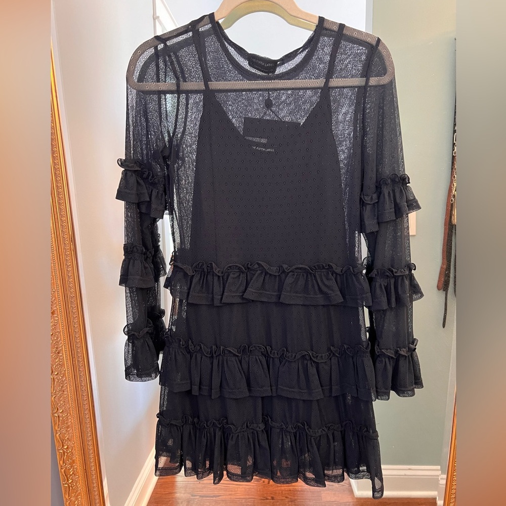 Mesh ruffle long sleeve mini dress